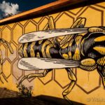 il nido di vespe – Foto: © Wolfram Mikuteit