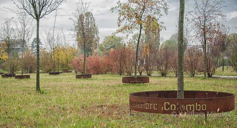 Der Bosco della Memoria in Monza. Für jedes der 92 Opfer wurde ein Baum gepflanzt. Jeden der Bäume umgibt ein Metallring mit dem Namen des Opfers. - Foto: © Wolfram Mikuteit